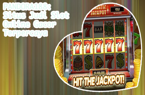 User bola slot